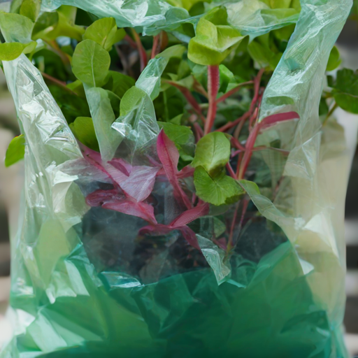 Afbeelding van Plastic tuinzakken kopen voor winterbescherming planten